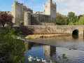 Cahir Castle